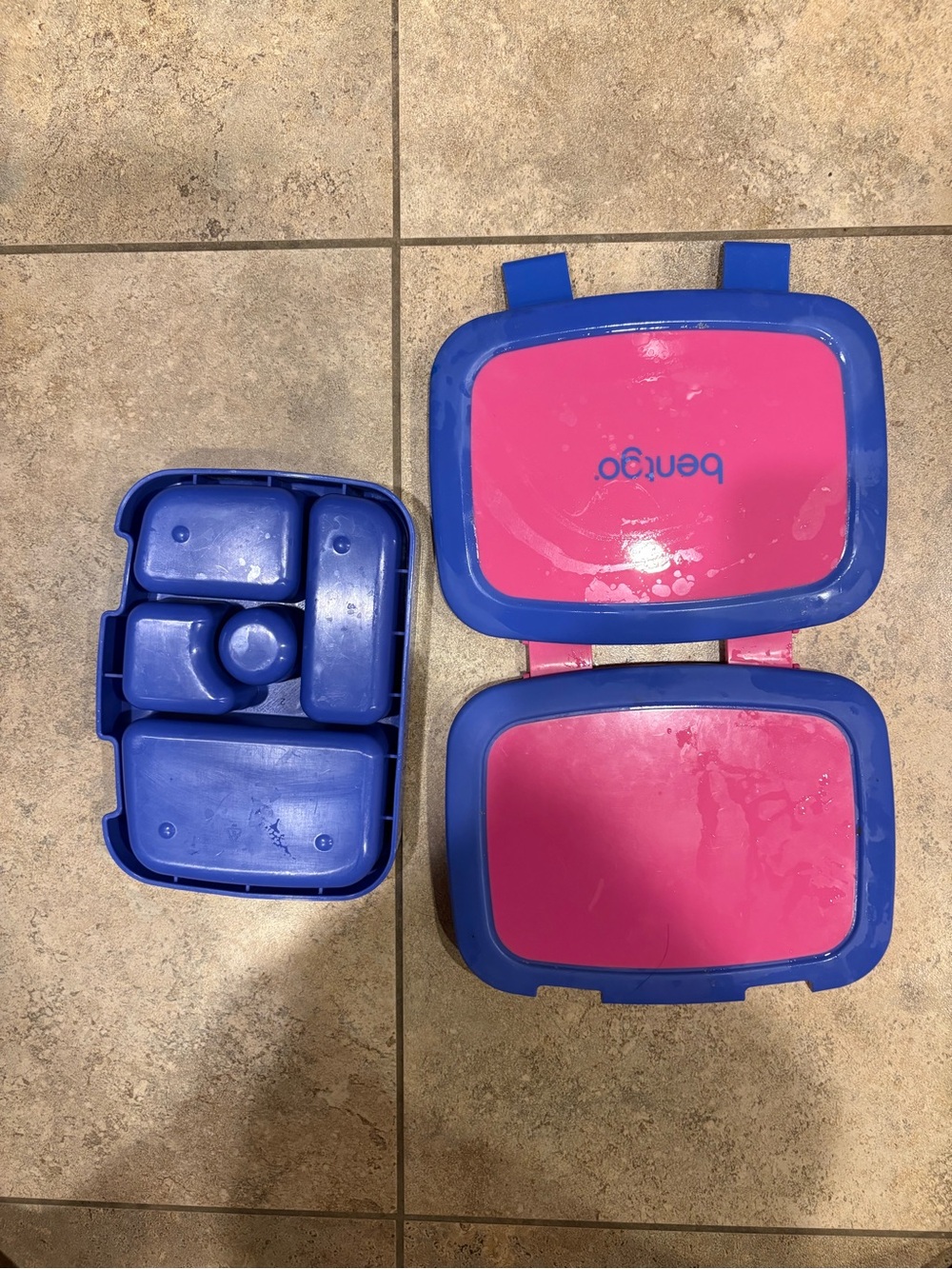 Bentgo Kids Pink and Blue Lunchbox Bento Set